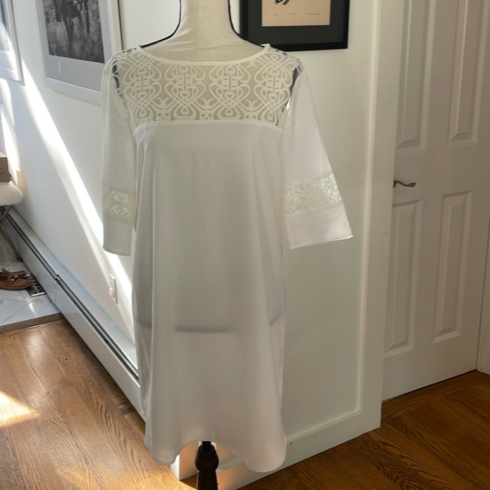 NWT Never worn White shift dress with modern lace detailing BB Dakota Size M.